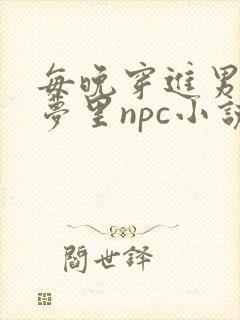 每晚穿进男神的梦里npc小说