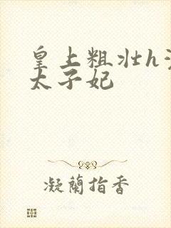 皇上粗壮h灌满太子妃