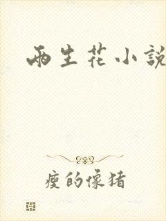 两生花小说