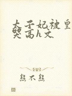 太子妃被皇上c哭高h文