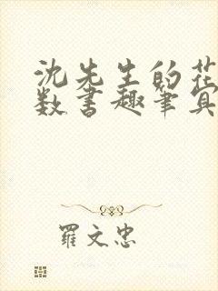 《沈先生的花式调数书趣笔冥鸿》小说封面