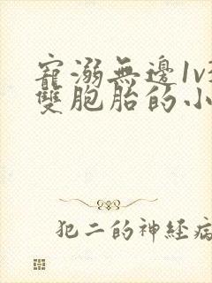 宠溺无边1v3双胞胎的小说