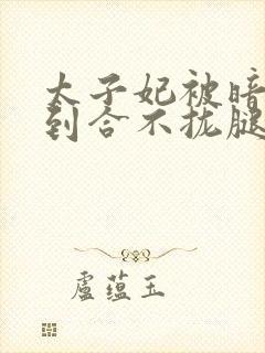 太子妃被暗卫C到合不拢腿