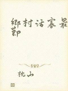 乡村活寡最新章节