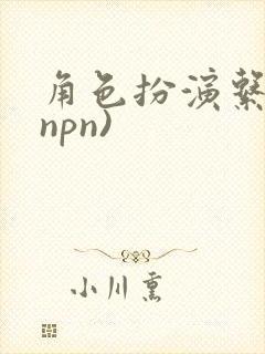角色扮演系统(npn)