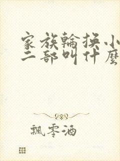 家族轮换小说第二部叫什么名字