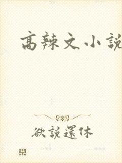 高辣文小说