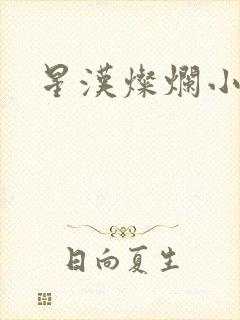 星汉灿烂小说