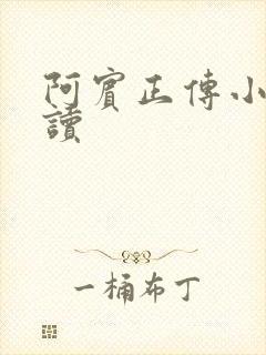 阿宾正传小说在读