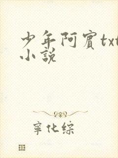 少年阿宾txt小说