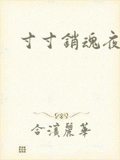 寸寸销魂夜春光