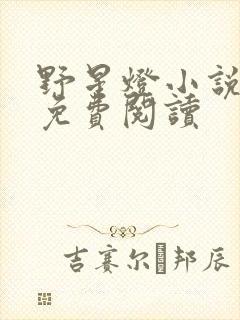 野星灯小说全文免费阅读