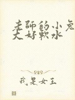 老师的小兔子好大好软水