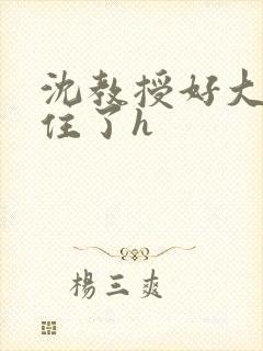 沈教授好大含不住了h