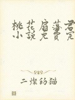 桃花扇落君不还小说免费完整版