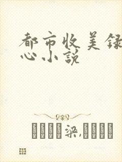 都市收美录宁素心小说