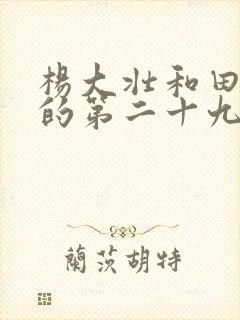 杨大壮和田桂花的第二十九