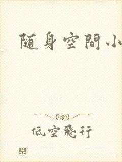 随身空间小说