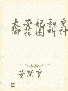 太子妃和皇帝在御花园叫什么小说