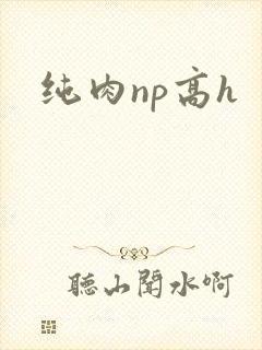 纯肉np高h