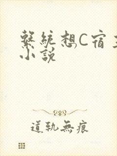 系统想C宿主的小说