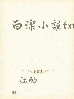 白洁小说txt