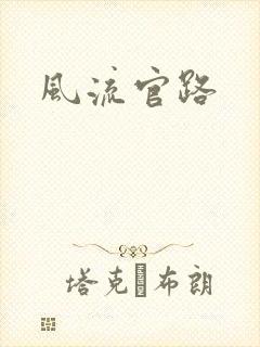 风流官路