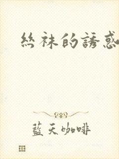 丝袜的诱惑小说