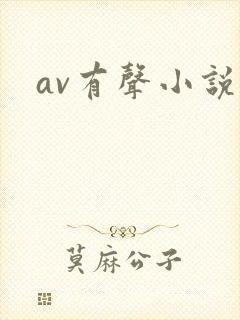 av有声小说