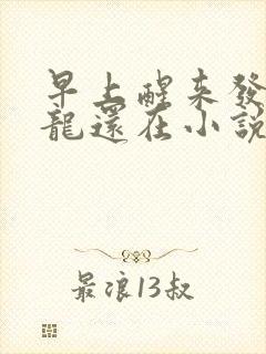 早上醒来发现巨龙还在小说