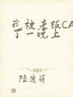 我被老板CAO了一晚上