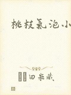 桃枝气泡小说封面