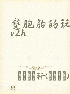 双胞胎的玩具1v2h