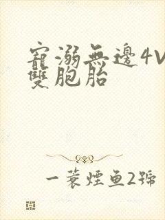 宠溺无边4V2双胞胎