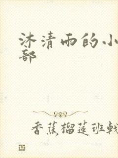 沐清雨的小说全部