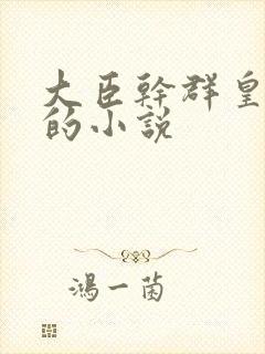 大臣干群皇太后的小说