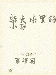 柴火垛里的疯狂小说