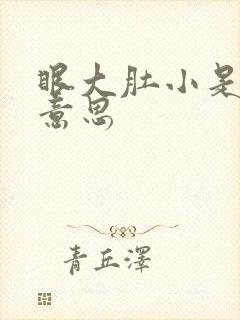 眼大肚小是什么意思