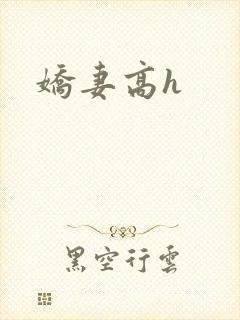 娇妻高h