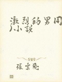 激烈的男同(h)小说