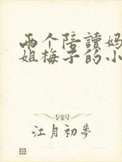 两个陪读妈妈赵姐梅子的小说