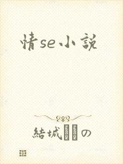 情se小说