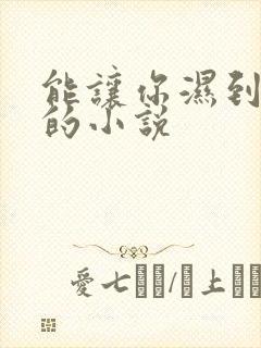 能让你湿到不行的小说