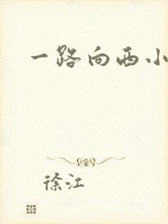 一路向西小说