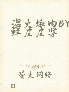 温火炖肉BY海鲜皮皮酱