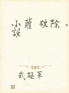 小萝 破除 小说