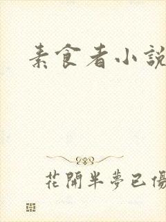 素食者小说