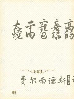 太子宠妾高肉红烧肉包讲的什么