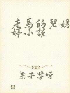 老马的儿媳顾婉婷小说