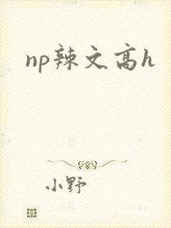 np辣文高h